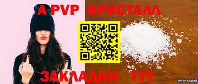 дурь Кингисепп